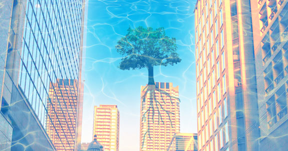 フォトレタッチ紹介ページへ