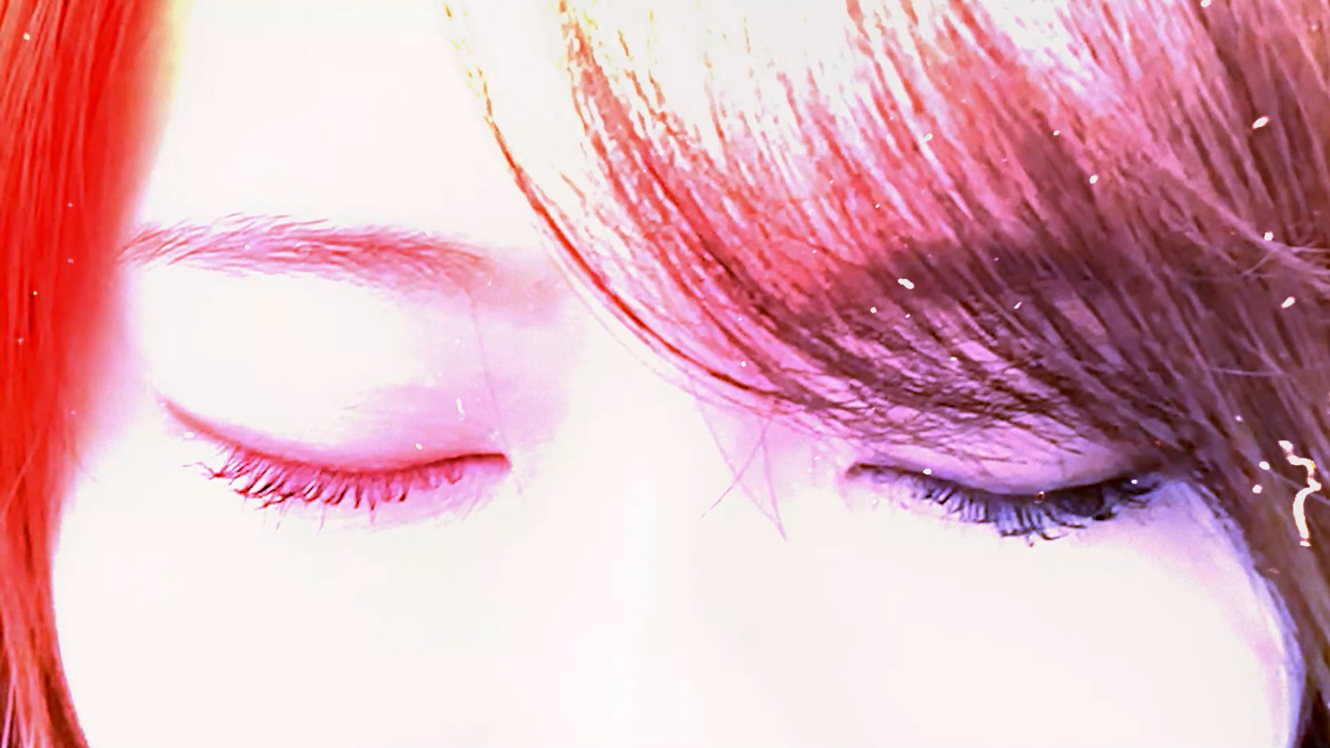 映像作品の紹介のページへ